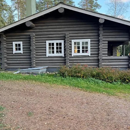 Haennaenpaeae - Tailtip *