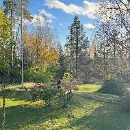 Hännänpää - Tailtip *