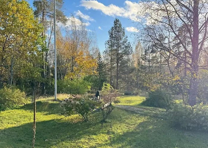 Haennaenpaeae - Tailtip *